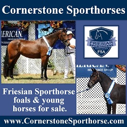 Cornerstone Sporthorses 12/14