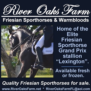 River Oaks Farm Friesian Sporthorses & Warmbloods 12/14