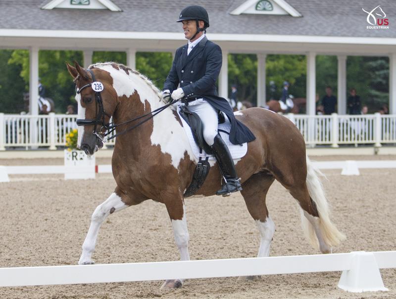 Adiah HP Friesian Sporthorse