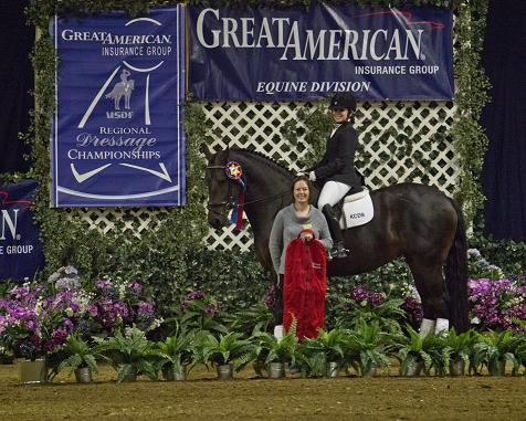 Friesian Sporthorse Champion