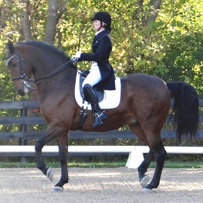 Grand Prix Friesian Sporthorse ridden by Teresa Foster