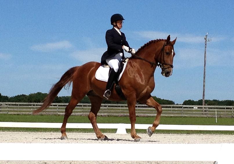 Charleston Friesian Sporthorse Third Level Reserve Champion