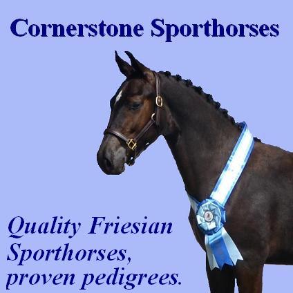 Cornerstone Sporthorses