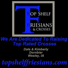 Top Shelf Friesians