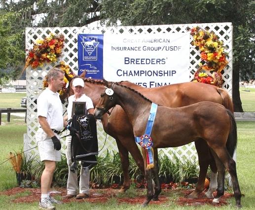 Lily ROF - 2011 FSA National Inspection & In-hand Champion