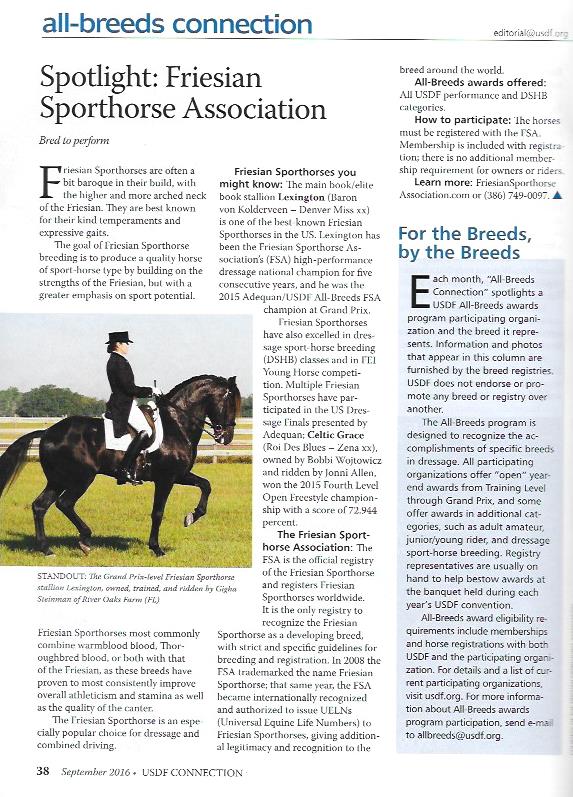 Friesian Sporthorse article