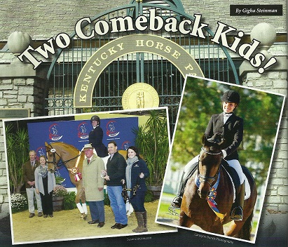 Friesian Sporthorse Comeback Kid! click to read...
