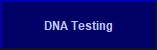 Friesian Sporthorse DNA Testing