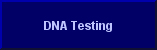 Friesian Sporthorse DNA Testing