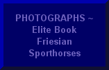click to see PHOTOS of Elite Book Friesian Sporthorses