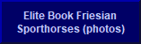Elite Book Friesian Sporthorses