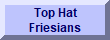 Top Hat Friesians