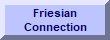 Friesian Connection